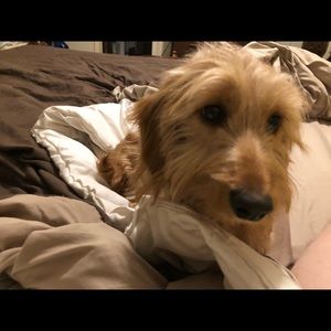 Meet your Posher, Donna